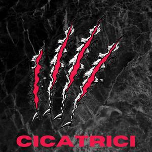 Cicatrici