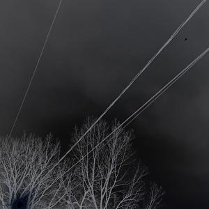 would've could've should've