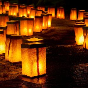 Luminaria