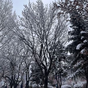 【Free】Flaking Heart（剥落）