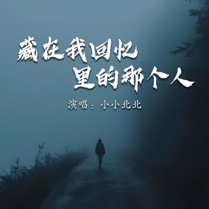 藏在我回忆里的那个人