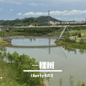 一棵树