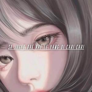 DJ Sa Joget bae bae le Yang Di Cari Cari 2023 fyp