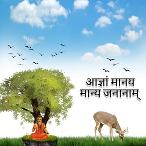 आज्ञां मानय मान्य जनानाम्