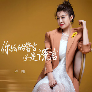 你给的誓言还是谎言