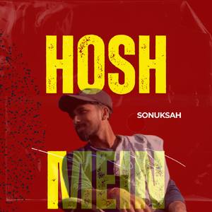 Hosh mein