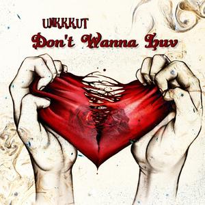 Don't Wanna Luv