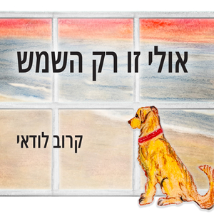 אולי זו רק השמש