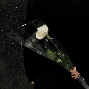 我害怕(翻自薛之谦）