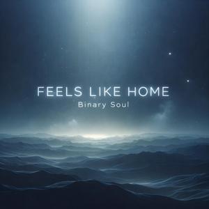Feels Like Home (Anima's Mix)