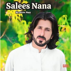Sakhawat Saleeeto