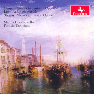 Die Trauergondel (La lugubre gondola), S134/R468 (version for violin and piano)