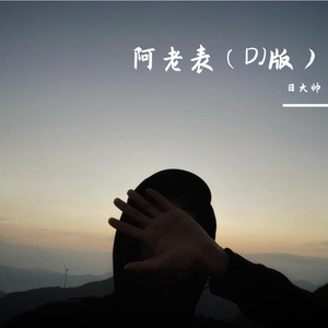 阿老表（DJ版）