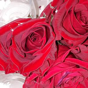 SATIE SE REVUELCA EN SU TUMBA