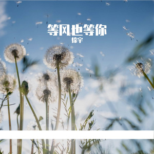 等风也等你