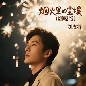 烟火里的尘埃 (烟嗓版)