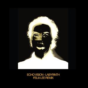 Labyrinth (Felix Lee Remix)