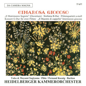 Il Maestro di capella (Intermezzo giocoso): II. Se mi dànno il permesso