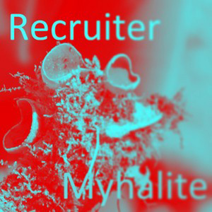 Recruiter (Instrumental)