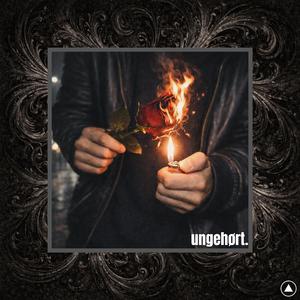 Fanculo le canzoni d’amore