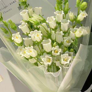 好想你（Cover 朱主爱）