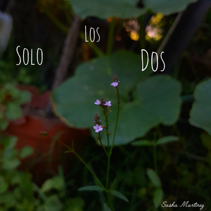 Sólo los Dos