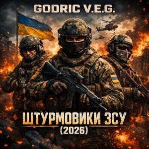 Штурмовики