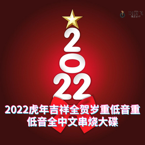 DJ国飞-2022虎年吉祥全贺岁重低音重低音全中文串烧大碟（DJ国飞 remix）