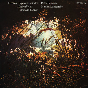 Gypsy Melodies, Op. 55, B. 104: No. 1, Mein Lied ertönt, ein Liebespsalm