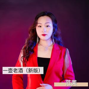 一壶老酒 (新版)