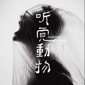 听觉动物