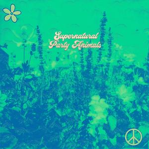 Supernatural Party Animals