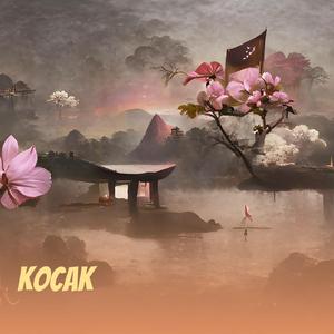 Kocak