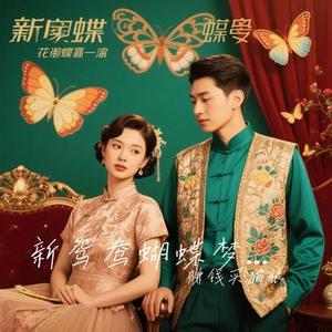 新鸳鸯蝴蝶梦  (R&B)(Cover 黄安)