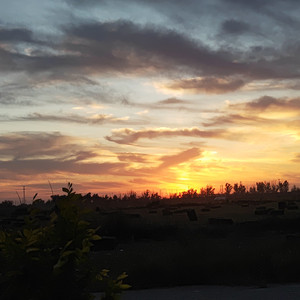 你是人间四月天1727094272954_20240923_202739