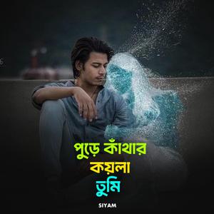 পুড়ে কাঁথার কয়লা তুমি