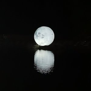 草原天空的自由