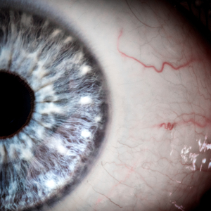 Interdimensional Cable