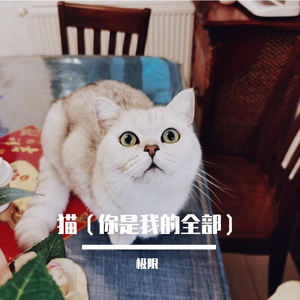 猫(你是我的全部)