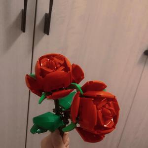 223‘s（胡唱版）