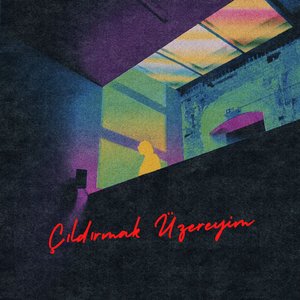 Çıldırmak Üzereyim