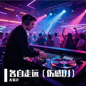 各自走远（伤感DJ）