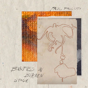 Barfuss in Birkenstock