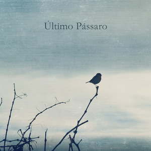Último Pássaro