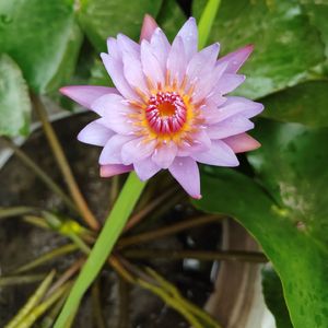 我要赶着跑回家