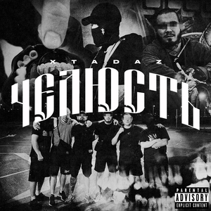 ЧЕЛЮСТЬ