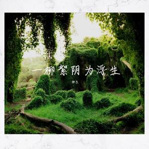 一柳絮阴为浮生