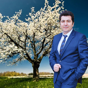 Hayirsiz Olsanda Sevdim