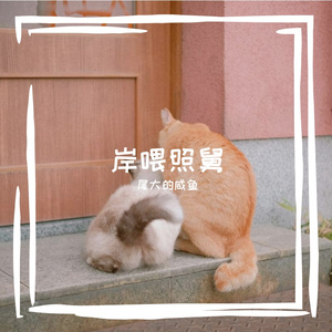 挛嘏闪糠韭垢夏侣