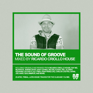 Deleita Tus Oidos (Jeremy Bass & All Fred Extended Remix)